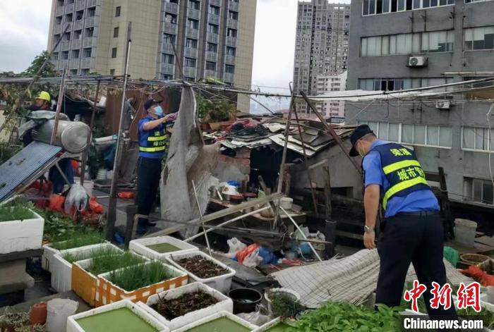 在一處居民樓屋頂，城管隊(duì)員拆除“空中菜園”。　金茜 攝