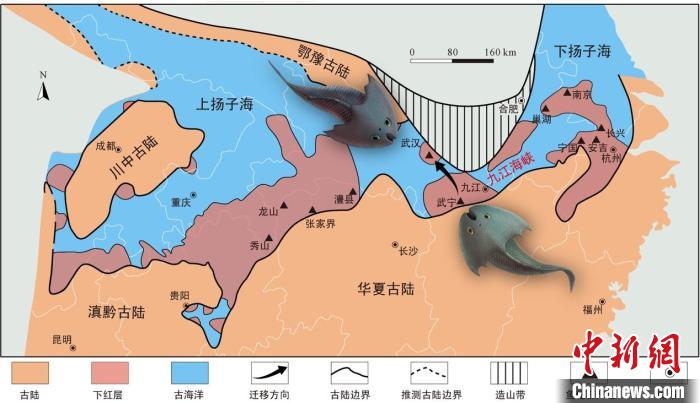 華南地區志留紀早期古地理圖和盔甲魚(yú)類(lèi)化石產(chǎn)地(山顯任改自陳旭、戎嘉余，1996；戎嘉余等，2012) 中科院古脊椎所 供圖