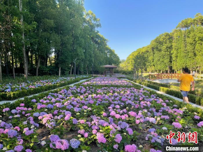 納民意、匯民智上海努力讓“公園城市”建設真正“合民心”