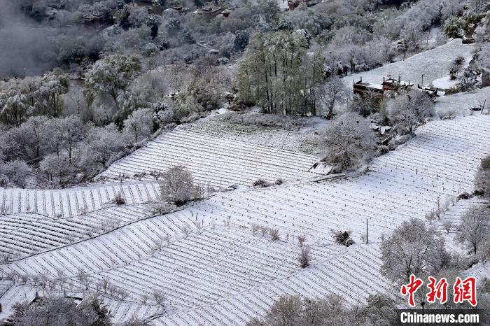 雪后的高山田間如畫。　李永安 攝