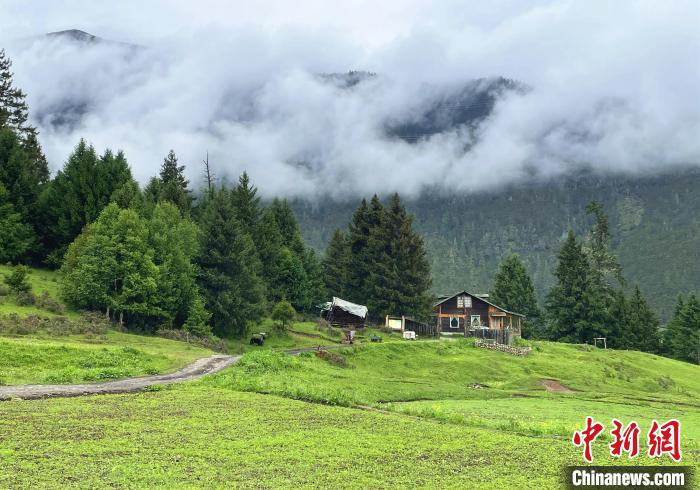 6月10日，魯朗小鎮高山牧場(chǎng)景區風(fēng)光。　冉文娟 攝