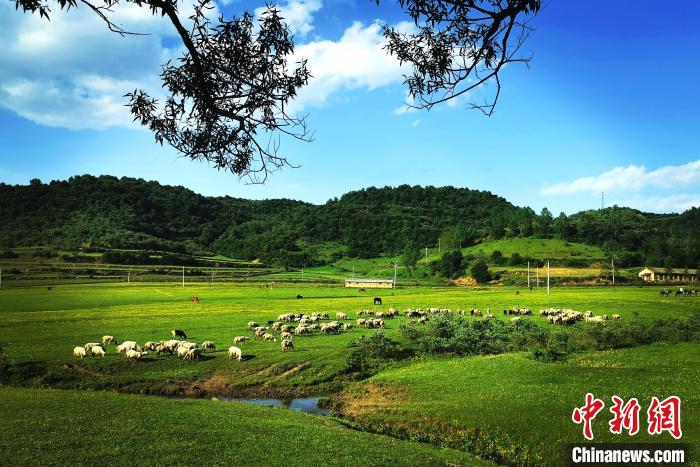 非子牧場(chǎng)天然風(fēng)光好，是“踏青賞花、避暑休閑、牧馬養生”的旅游勝地。　張平安 攝