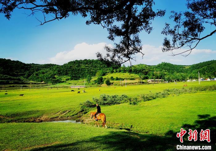 圖為民眾在非子牧場(chǎng)騎馬。　張平安 攝