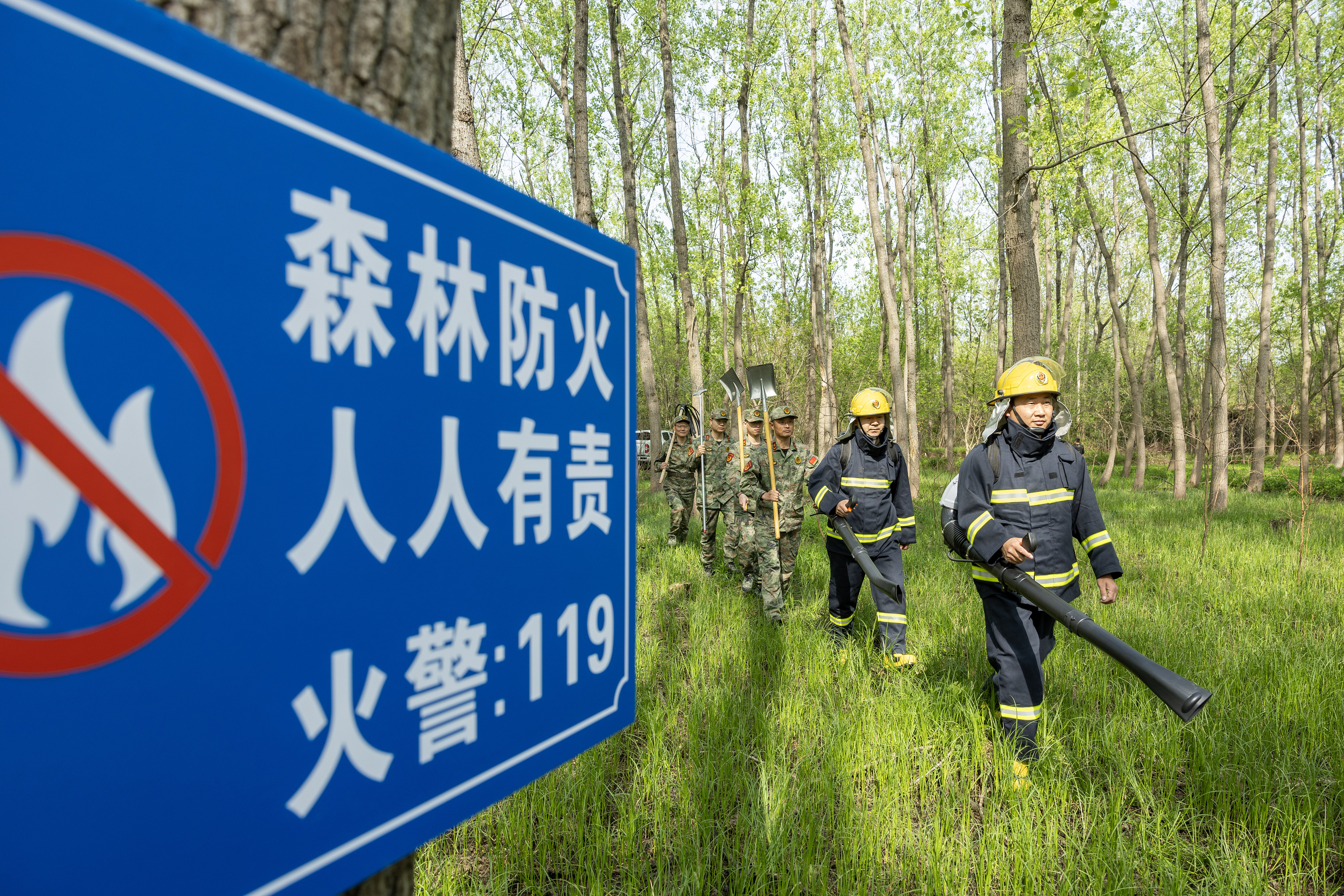 2024年4月9日，合肥市大房郢水庫(kù)水源保護(hù)地廬陽(yáng)經(jīng)濟(jì)開(kāi)發(fā)區(qū)段，基干民兵正在林間巡查火災(zāi)隱患。