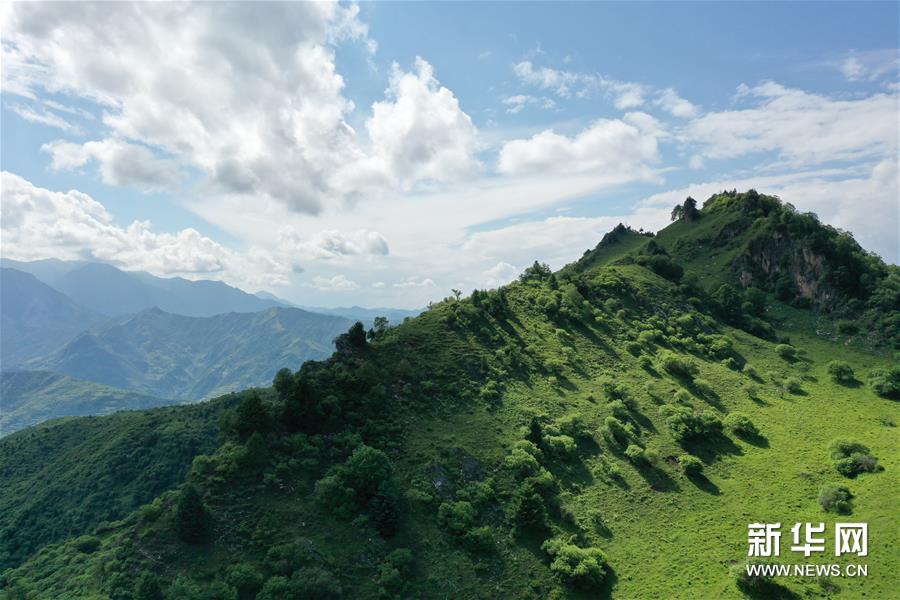 （新華視界）（3）甘肅舟曲：夏日藏鄉畫(huà)中景