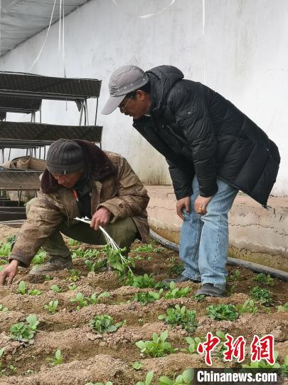 圖為尼瑪扎西(右)與西藏農民聊天(資料圖)。西藏農科院 供圖