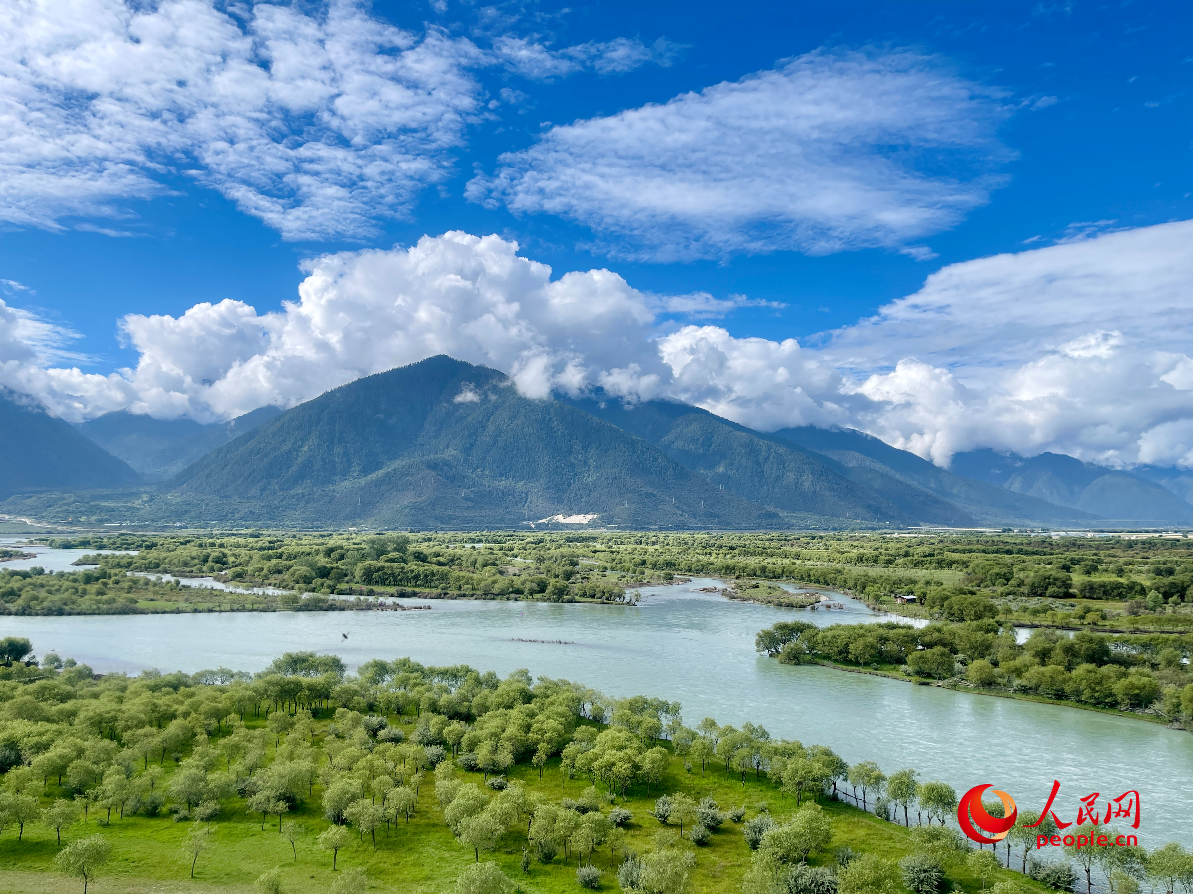 夏日的雅尼國家濕地公園生機盎然，如詩如畫。人民網(wǎng) 周靜圓攝