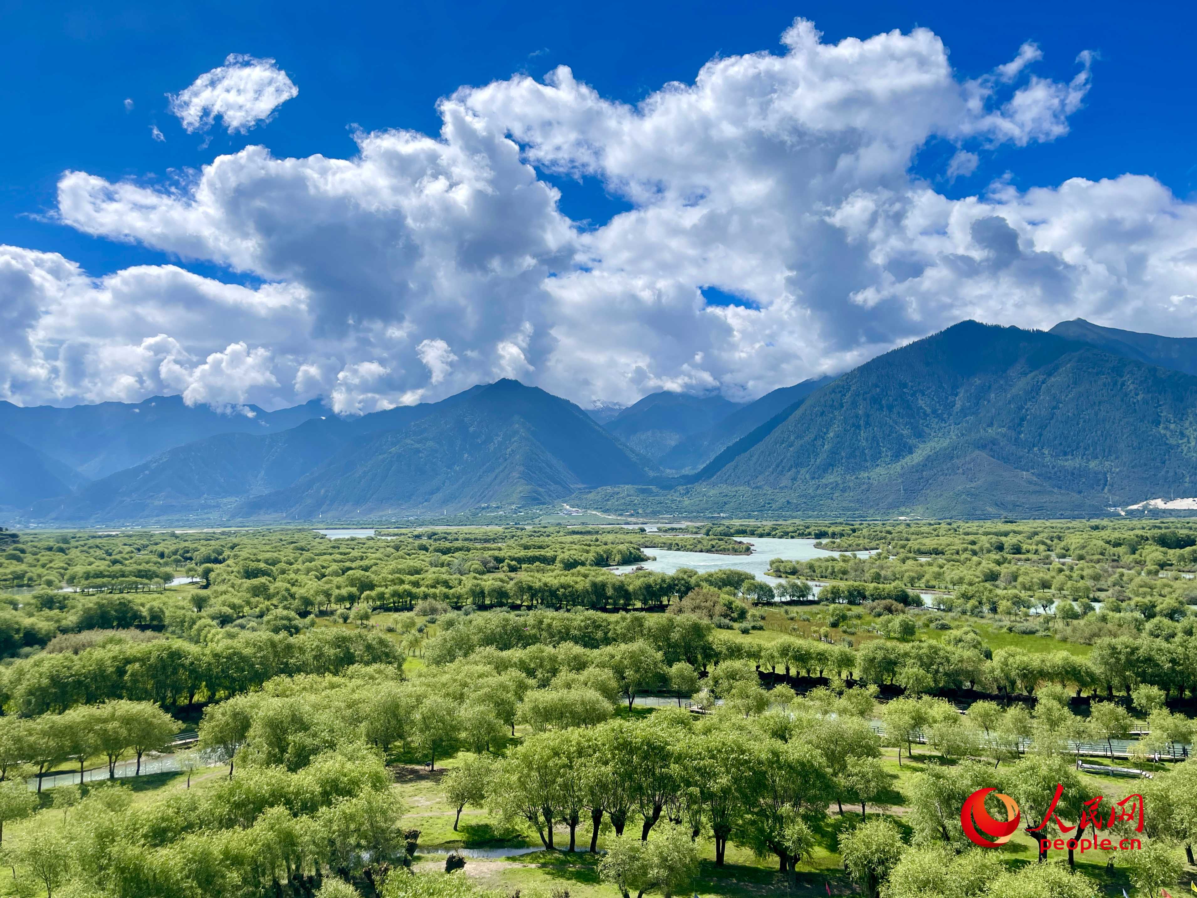 夏日的雅尼國家濕地公園生機(jī)盎然，如詩如畫。人民網(wǎng) 周靜圓攝